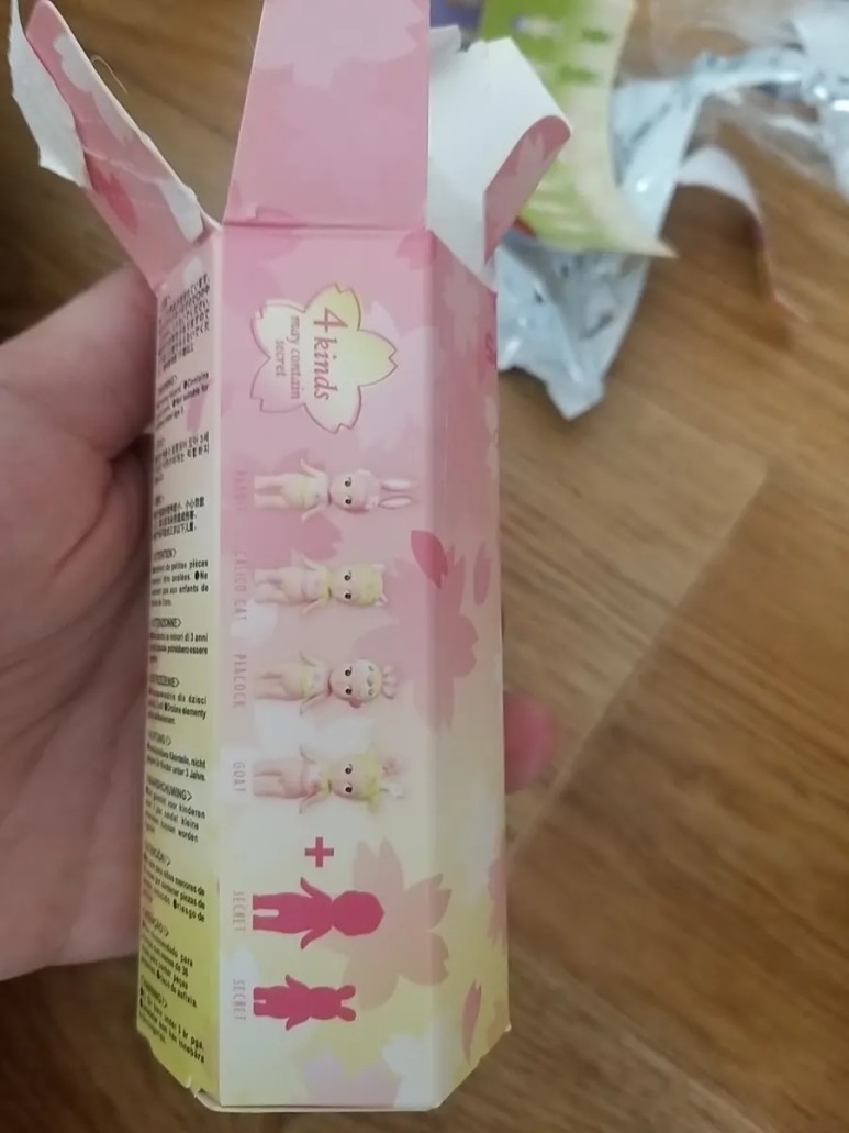 엔젤이 백신접종하고 버스시간 남아서 2