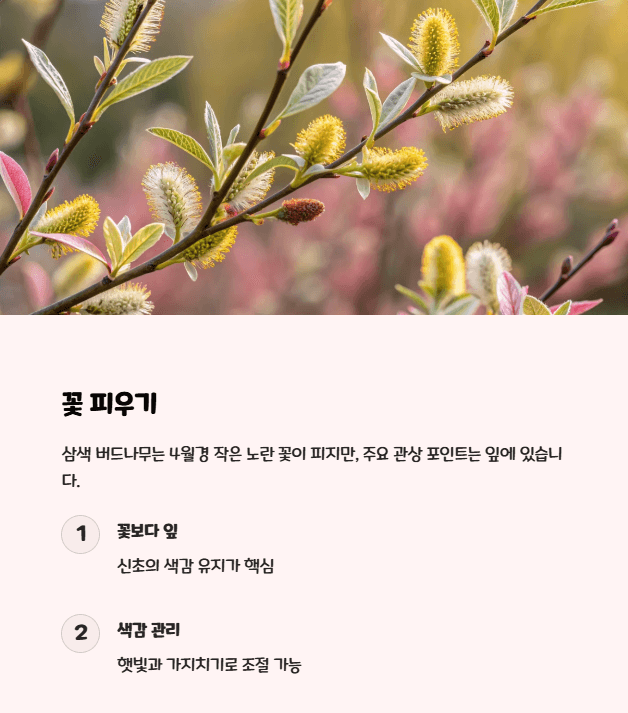삼색 버드나무