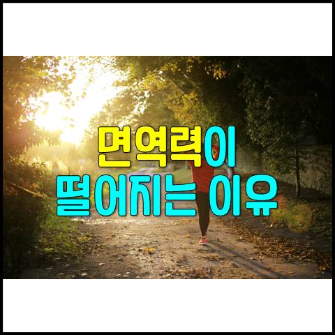  면역력이 떨어지는 이유 7가지