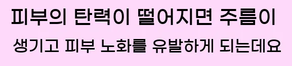  피부의 탄력이 떨어지면 주름이 생기고 피부 노화를 유발하게 되는데요