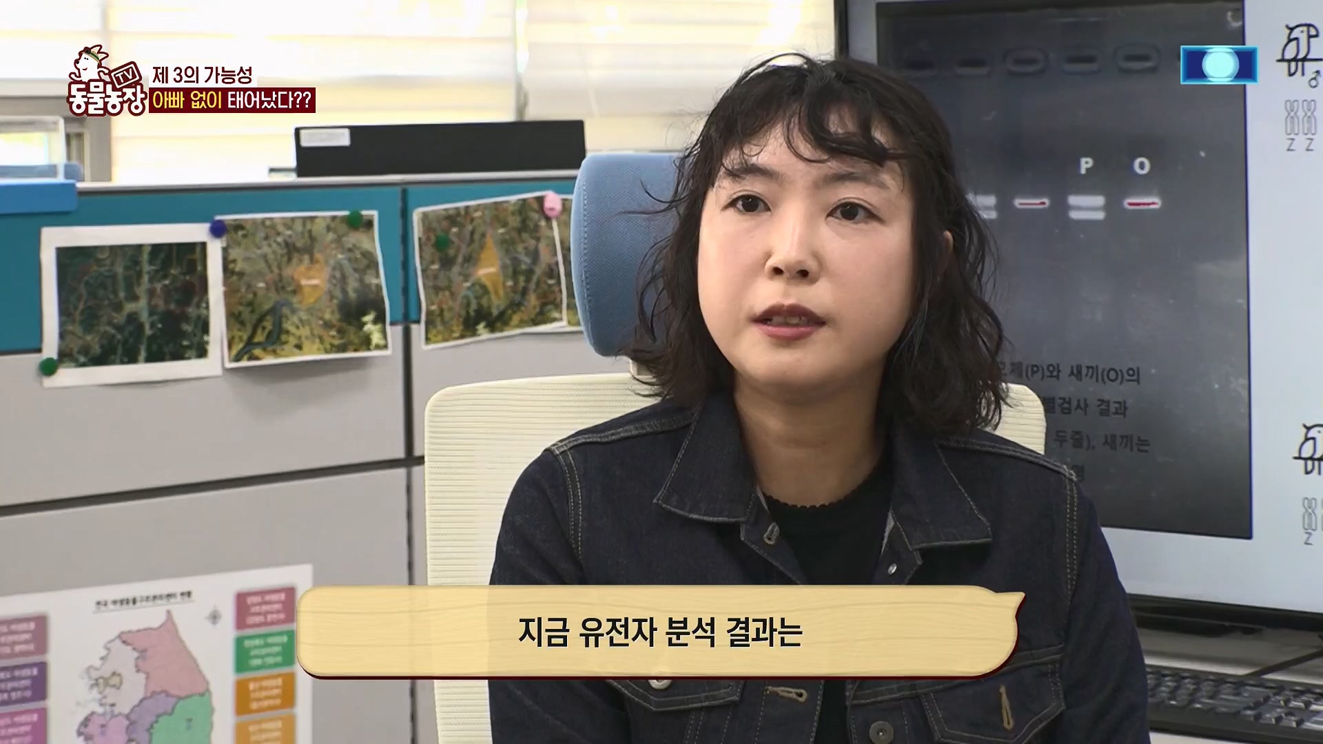 TV 동물농장.E1180.240714p.H264-F1RST.mp4_20240715_201735.969.jpg