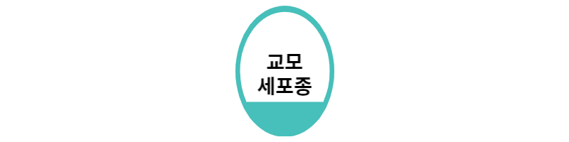  교모세포종 증상 확인하고 방치하지 마세요