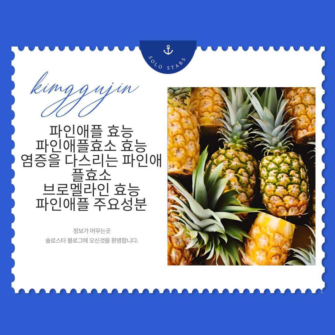 파인애플 사진