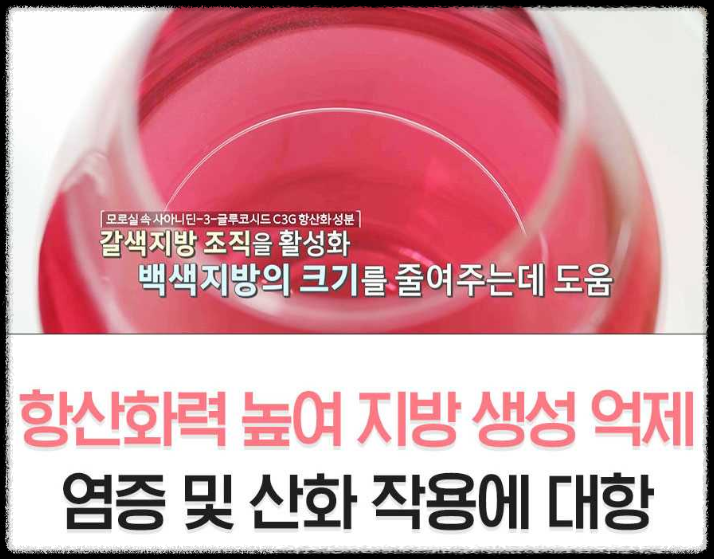 모로실 효능