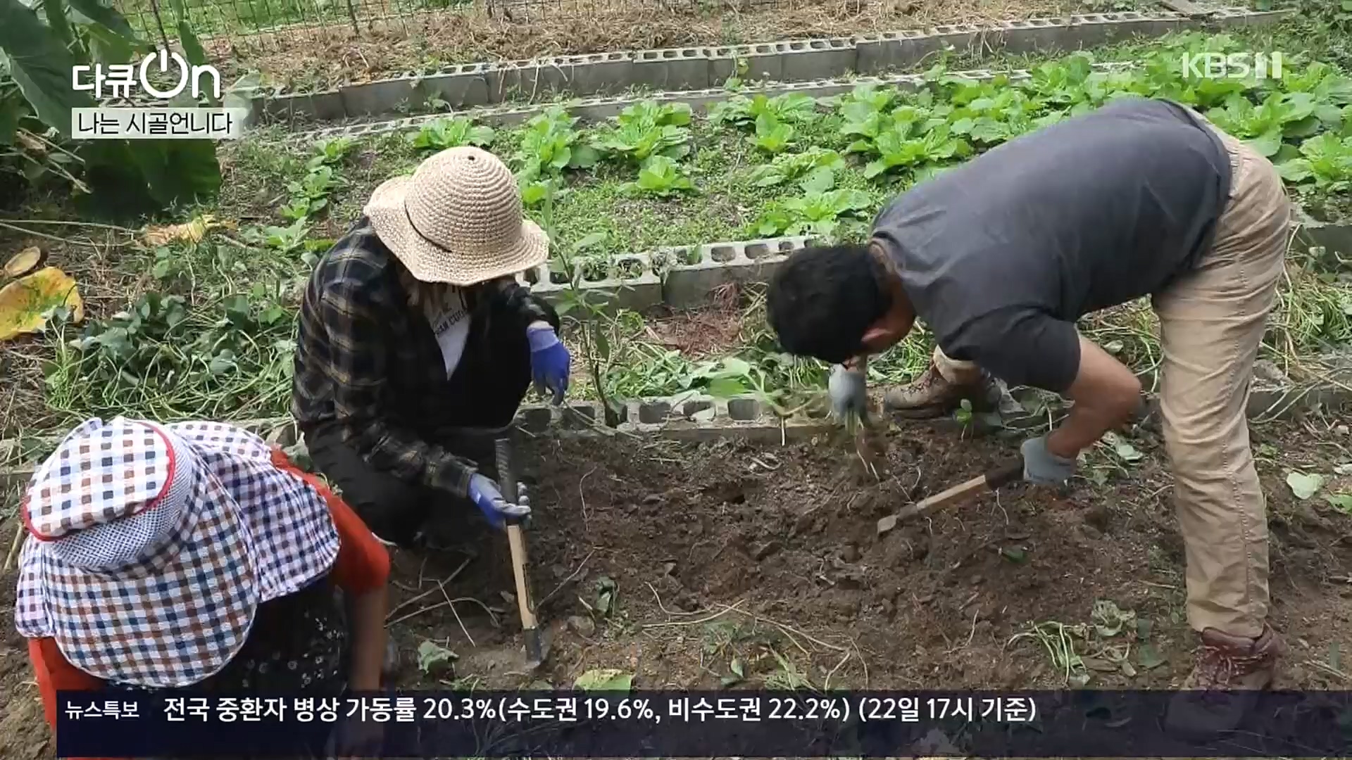 다큐 On.E165p.H264-F1RST.mp4_20221028_212314.460.jpg