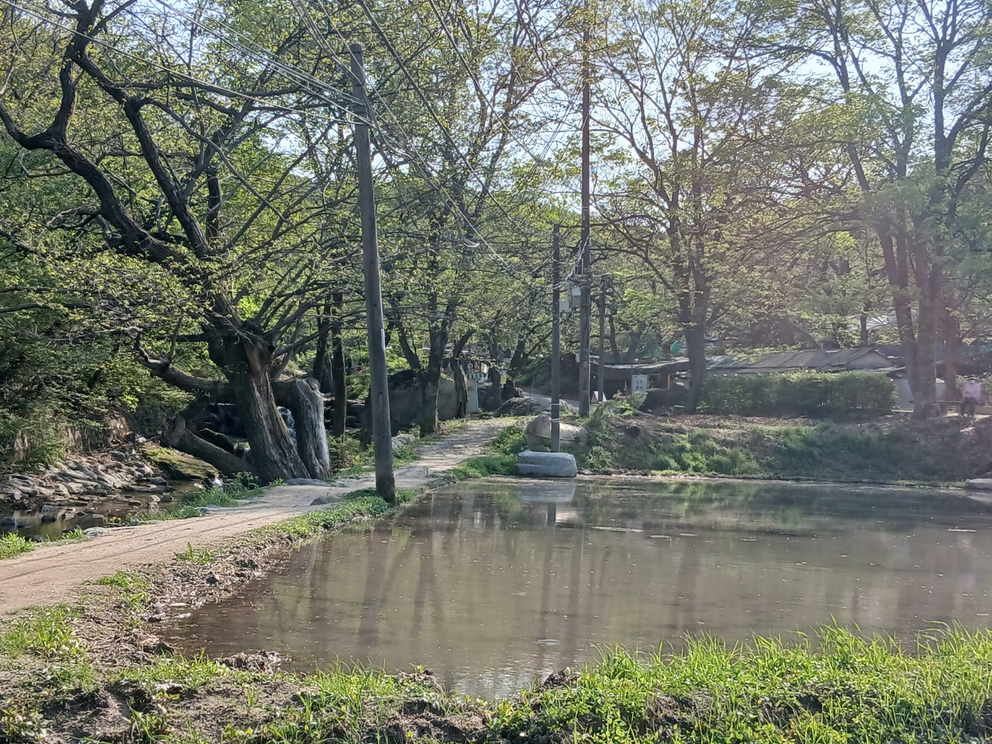 서울 도심에 시골마을이 있다고? 도봉역 무수골로 힐링여행 떠나요