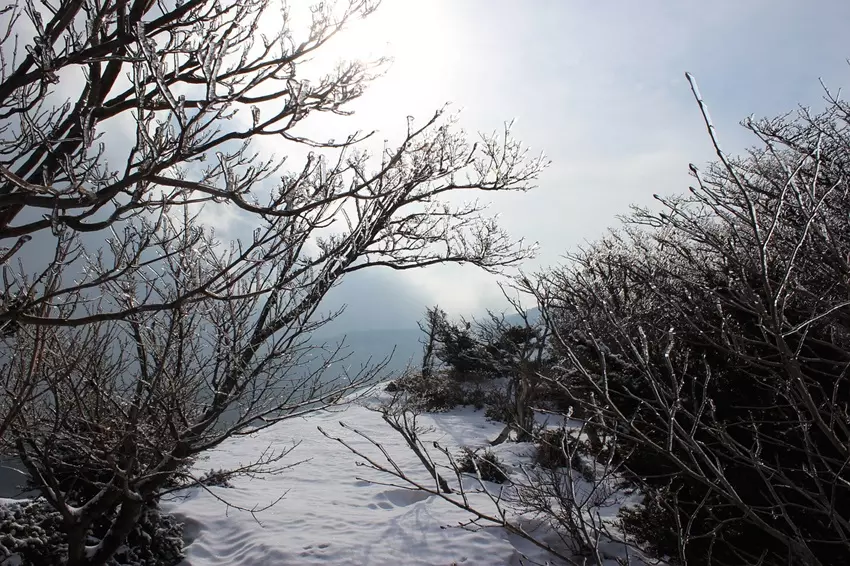 한라산 영실코스