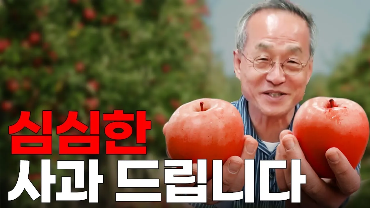 심심한 사과 뜻 한자 논란_2