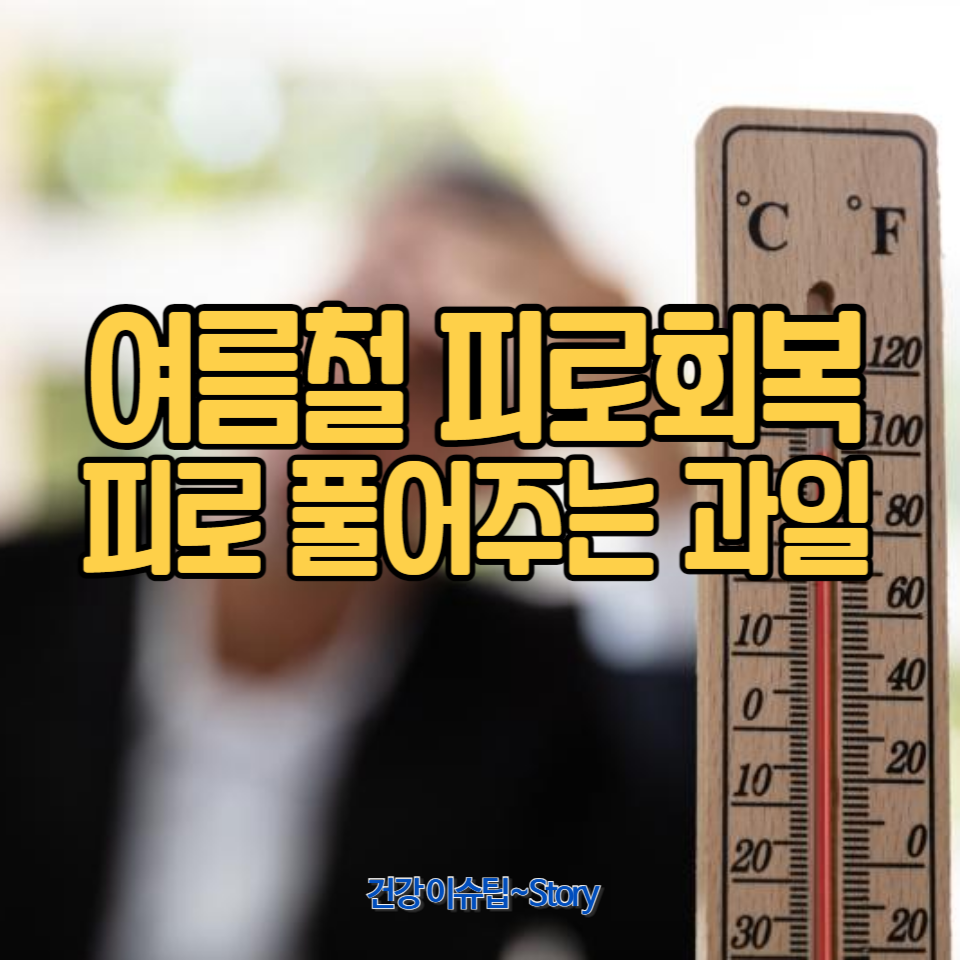 여름철 더운 날씨에 지친 몸을 피로회복에 좋은 과일