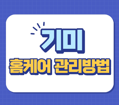  기미가 생기는 원인과 기미 옅어지는 방법 및 집에서 홈케어 관리 방법
