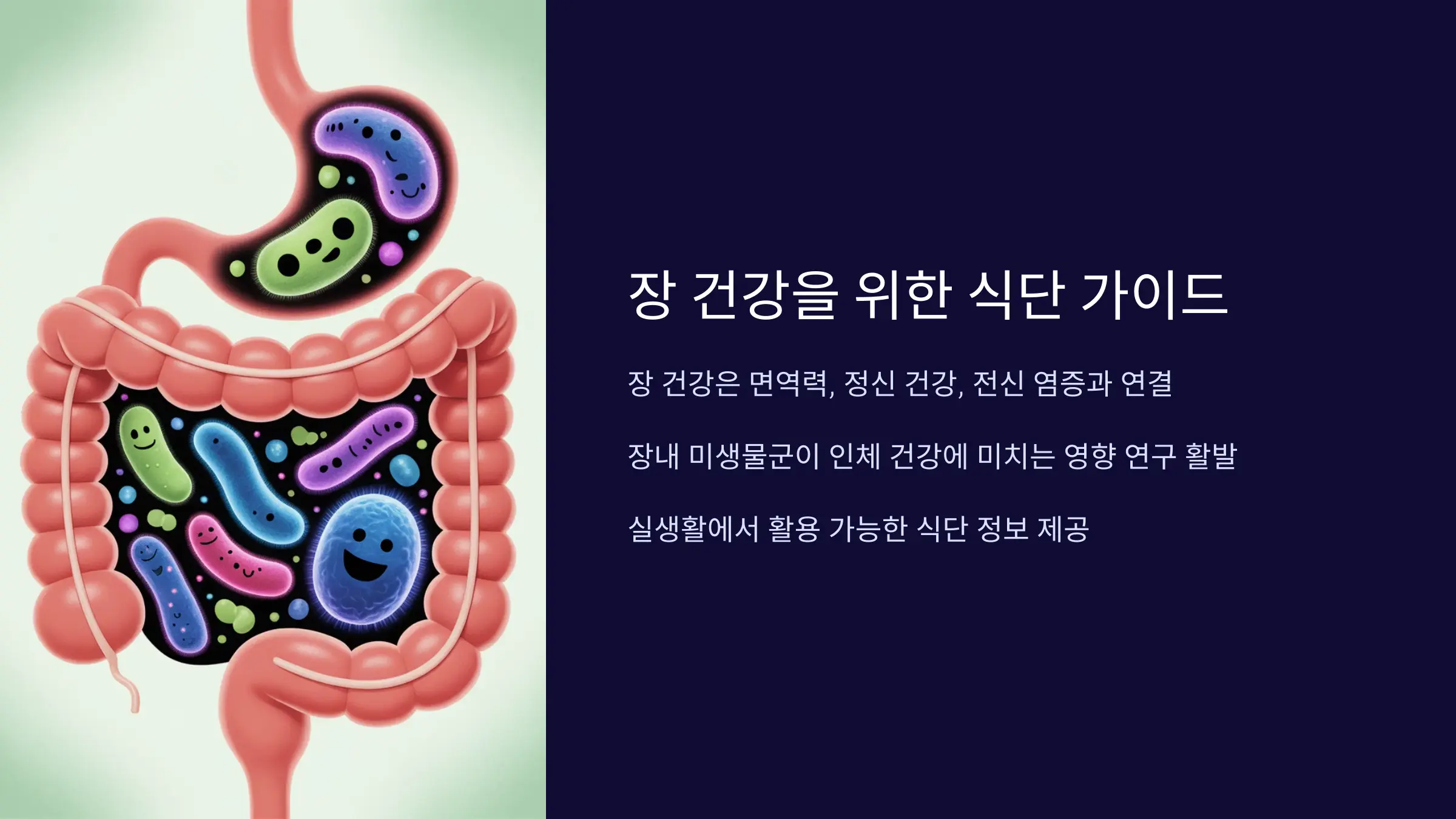 장 건강을 지키는 식단 관리법