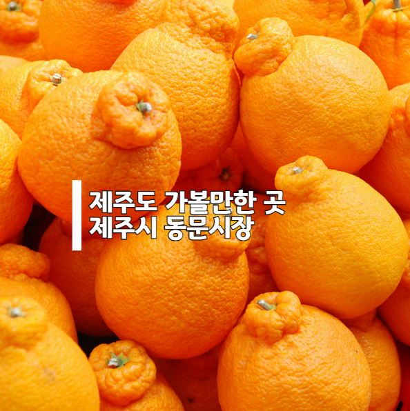 제주 동문시장 완벽 가이드 – 먹거리부터 야시장까지 총정리!