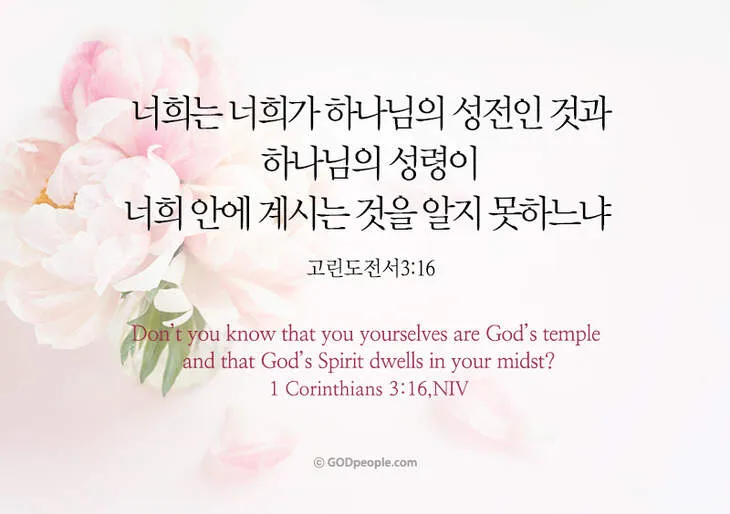 고린도전서 15장 성경 말씀 구절_8