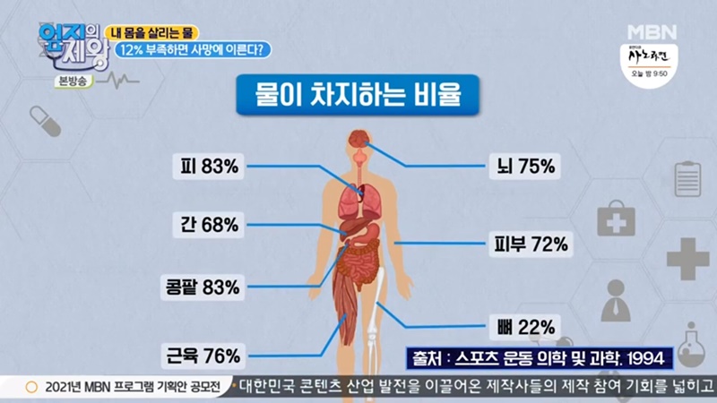  수분부족은 만병의 근원/ 물 섭취량 계산법 / 물을 대신할 수 있는 음료(엄지의제왕)