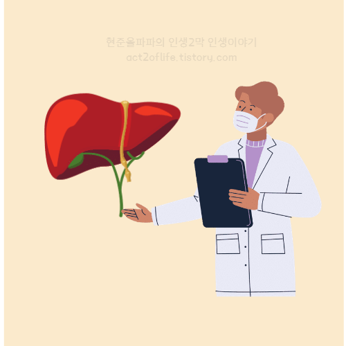간 건강 및 콜레스테콜 감소