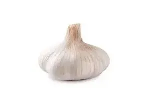 마늘