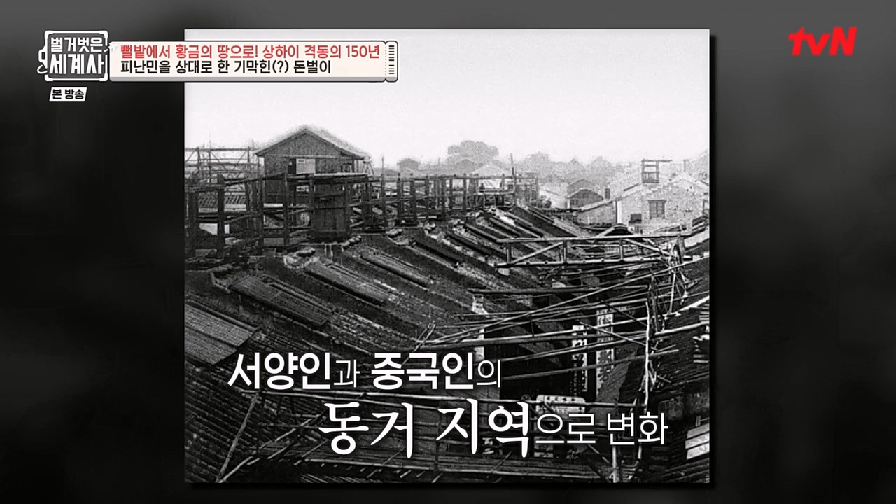 벌거벗은 세계사.E81.230111p-NEXT.mp4_20230206_205349.853.jpg