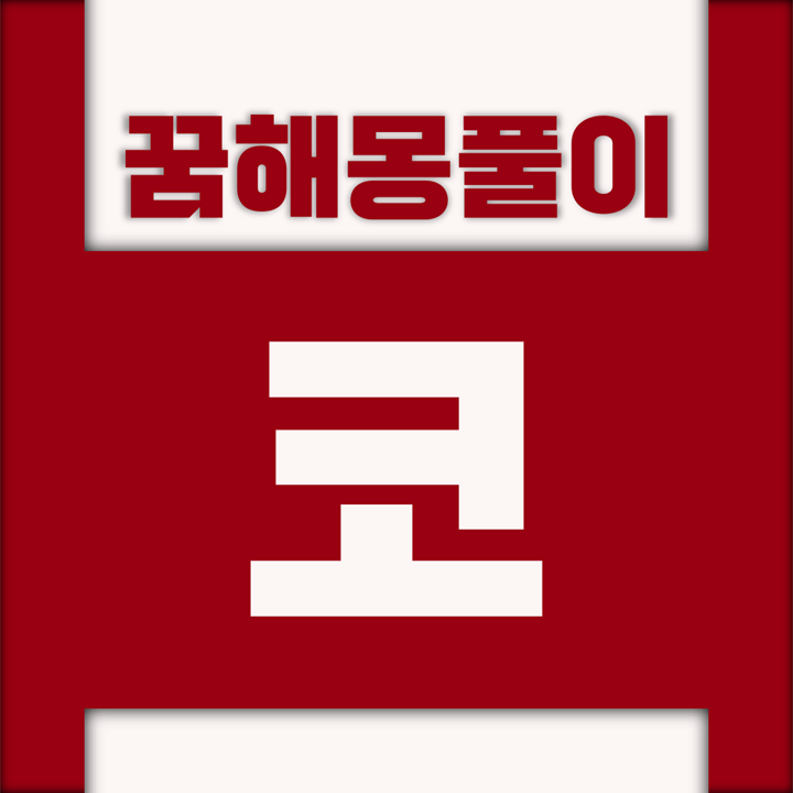  [꿈해몽풀이] 코 꿈해몽 모음