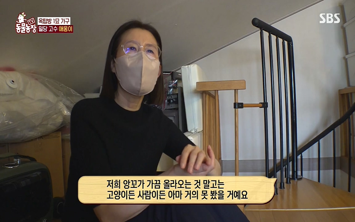 TV 동물농장.E1070.220523p-NEXT.mp4_20220522_182022.370.jpg