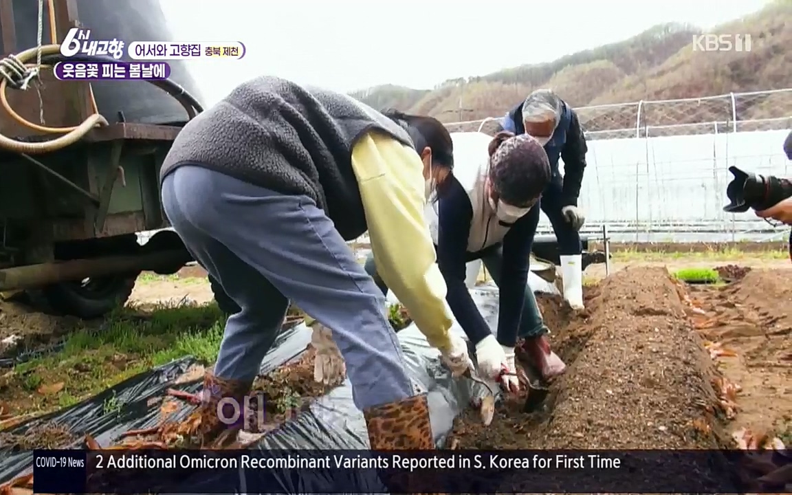 6시 내고향.E7518.220426p.H264-F1RST.mp4_20220504_191052.441.jpg