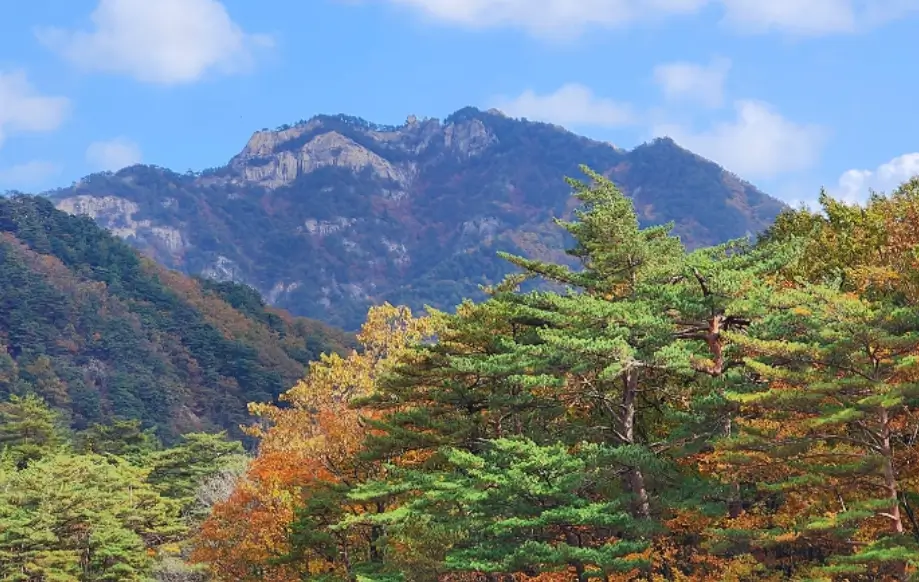 설악산 단풍