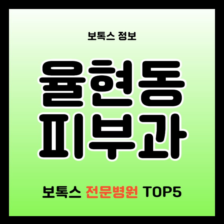 강남 율현동 보톡스 피부과 전문병원 추천