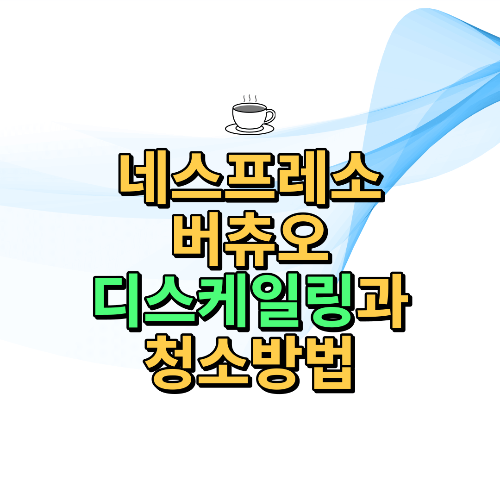 버츄오디스케일링-청소