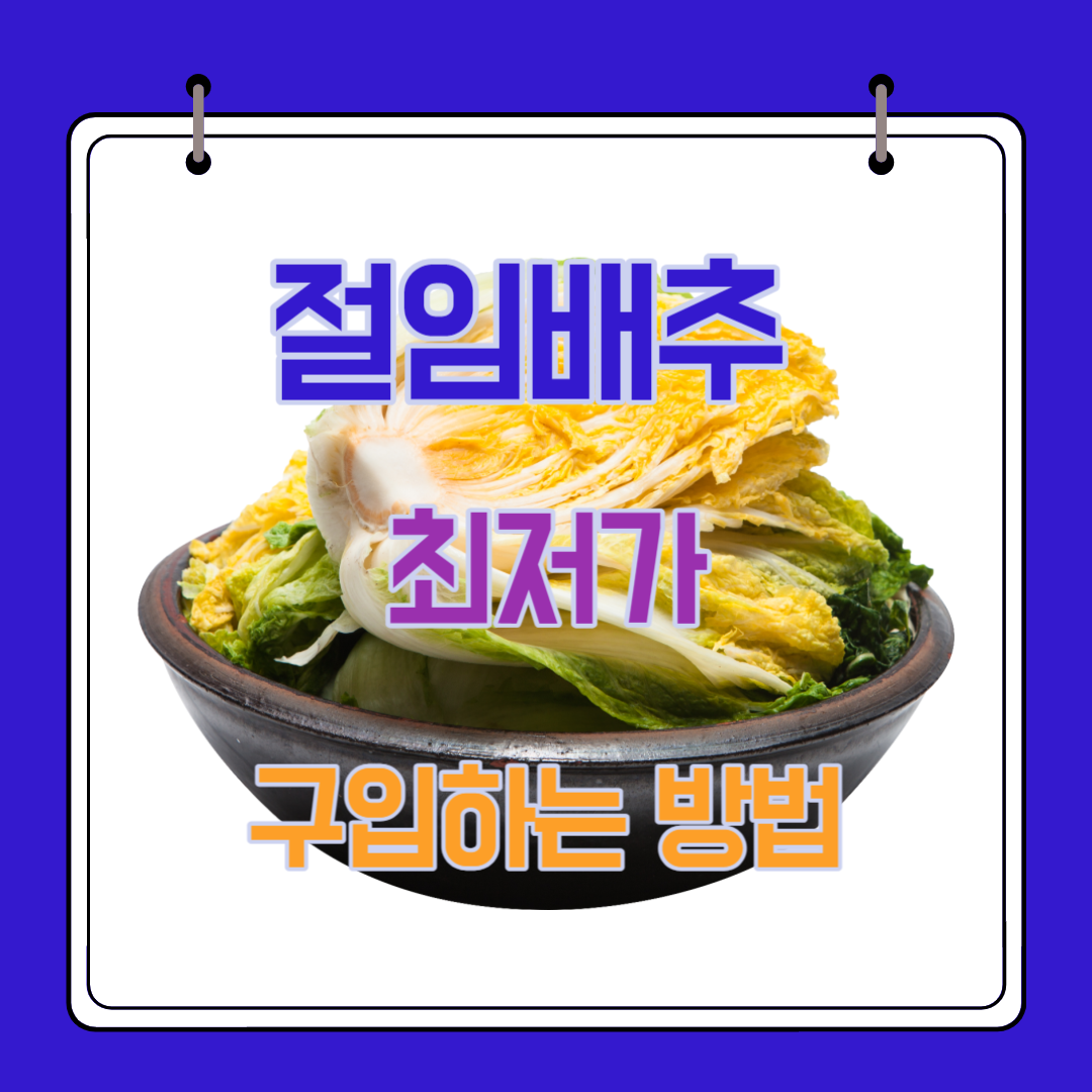  절임배추 20KG 10KG 최저가 구입하는 방법