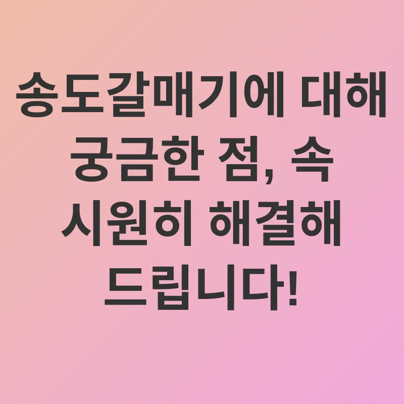 꿈의 실현_4