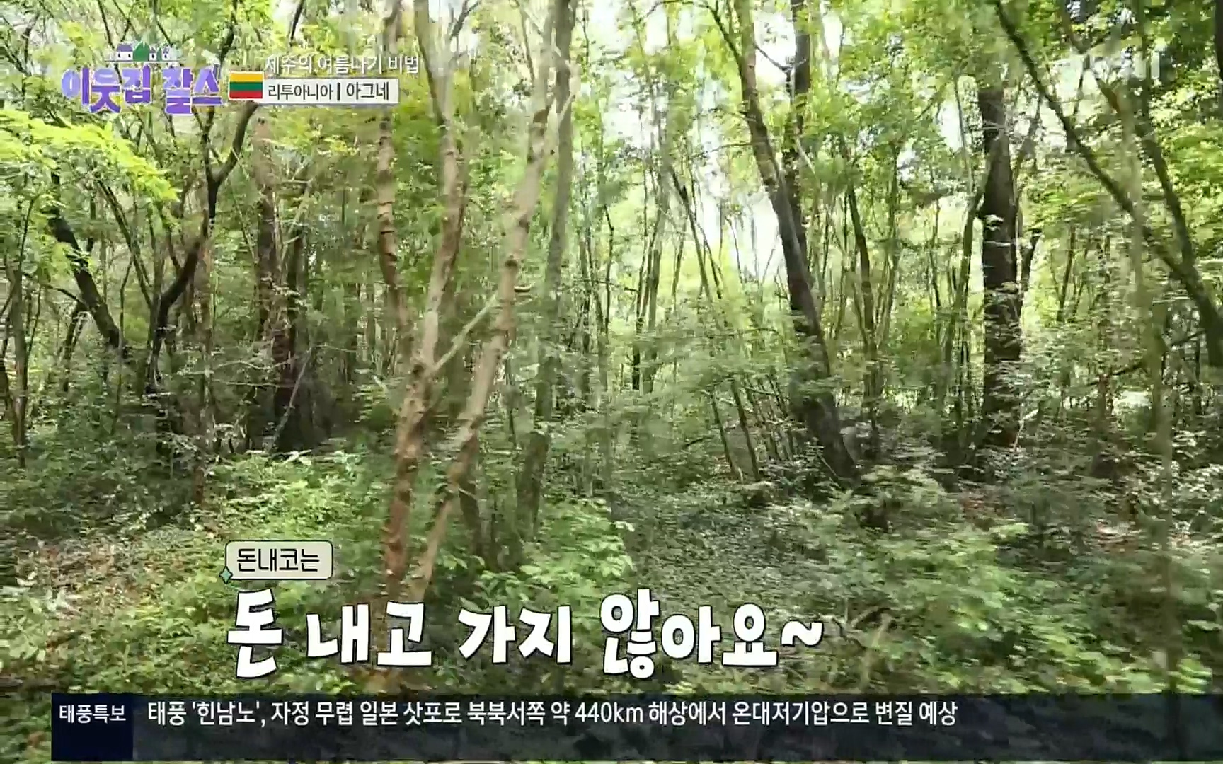 이웃집 찰스.E353.220906p.H264-F1RST.mp4_20220907_204137.020.jpg
