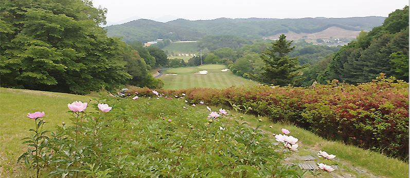 육군 체력단련장