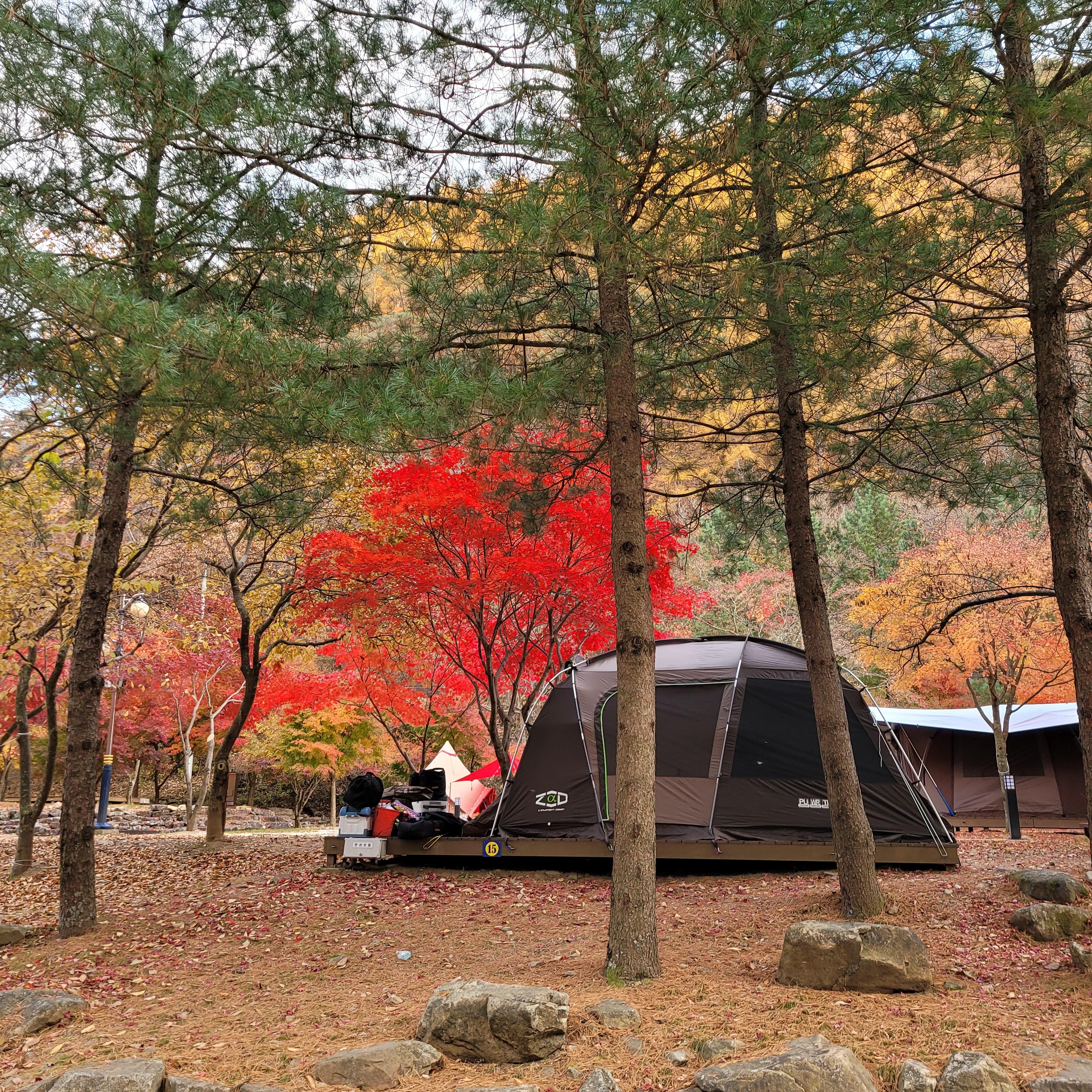  강원도 정선 화암약수캠핑장(화암약수야영장) 사이트 정보