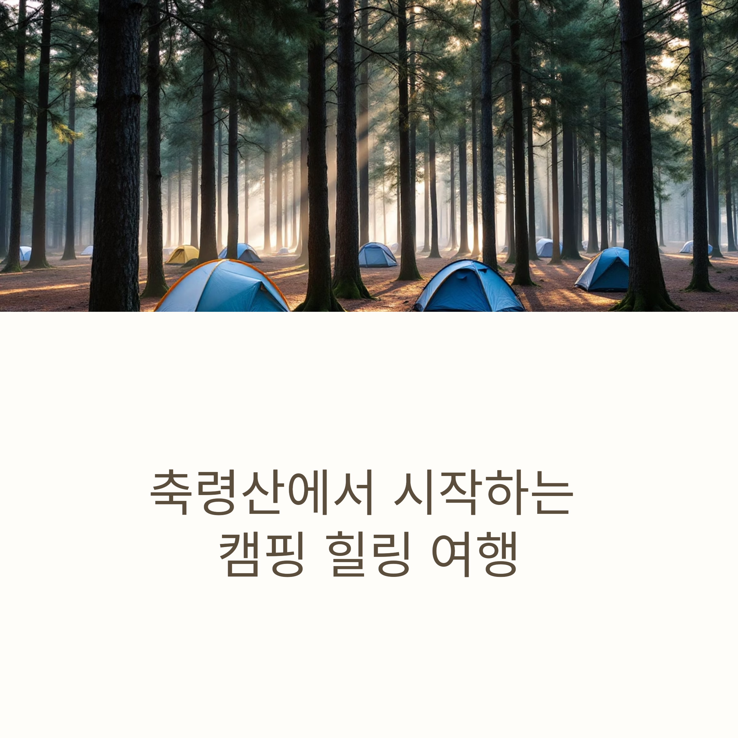 축령산자연휴양림 캠핑 초보