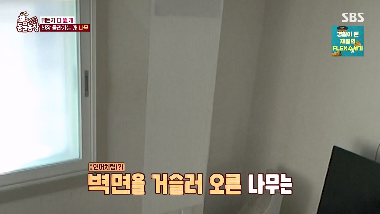 TV 동물농장.E1154.240115p-NEXT.mp4_20240114_184336.600.jpg