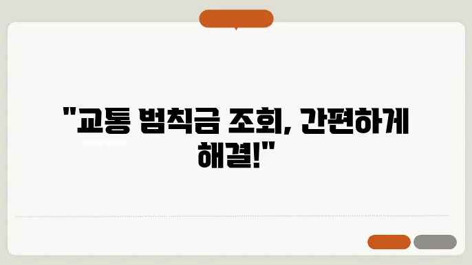 교통범칙금 조회