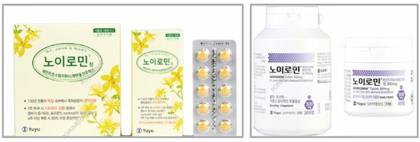 노이로민정