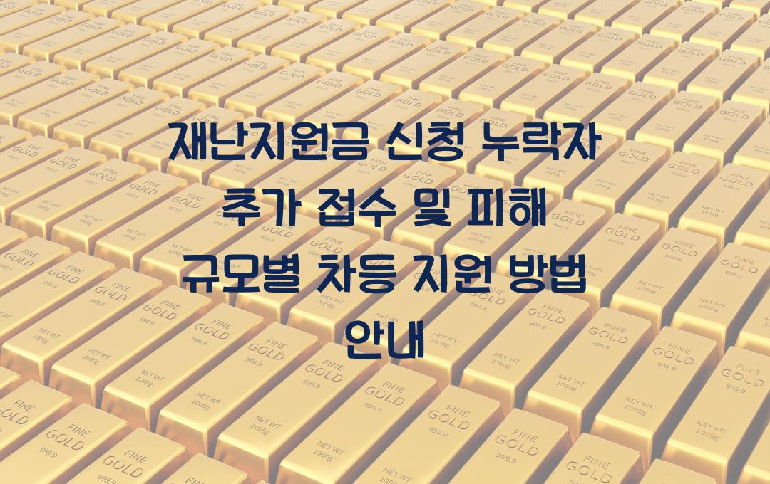 재난지원금 신청 누락자 추가 접수, 피해 규모별 차등 지원 방법