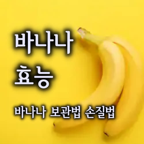  바나나 효능 부작용 (바나나 보관법) banana