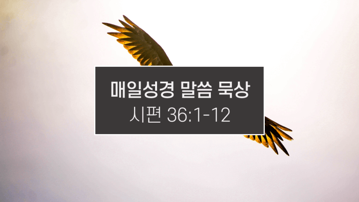 썸네일-하늘을-나는-독수리