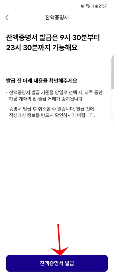 예금잔액증명서 발급