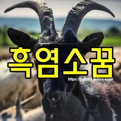 흑염소꿈