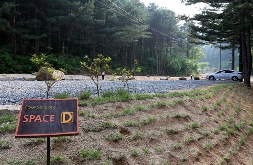 캠핑장 사이트