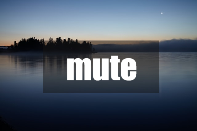 해볼까요? 오늘의 단어는 moot와 mute입니다. 새해 첫 월요일, 영어공부를 2
