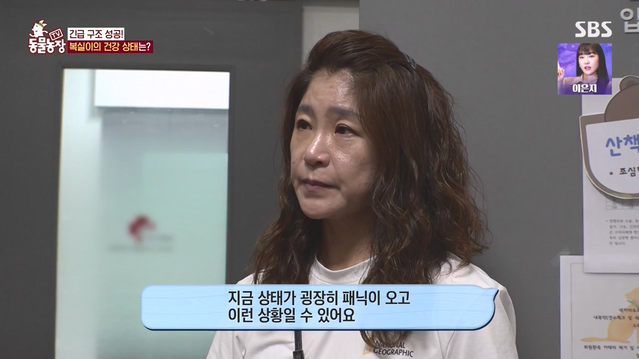 TV 동물농장.E1135.230828p-NEXT.mp4_20230827_180834.983.jpg