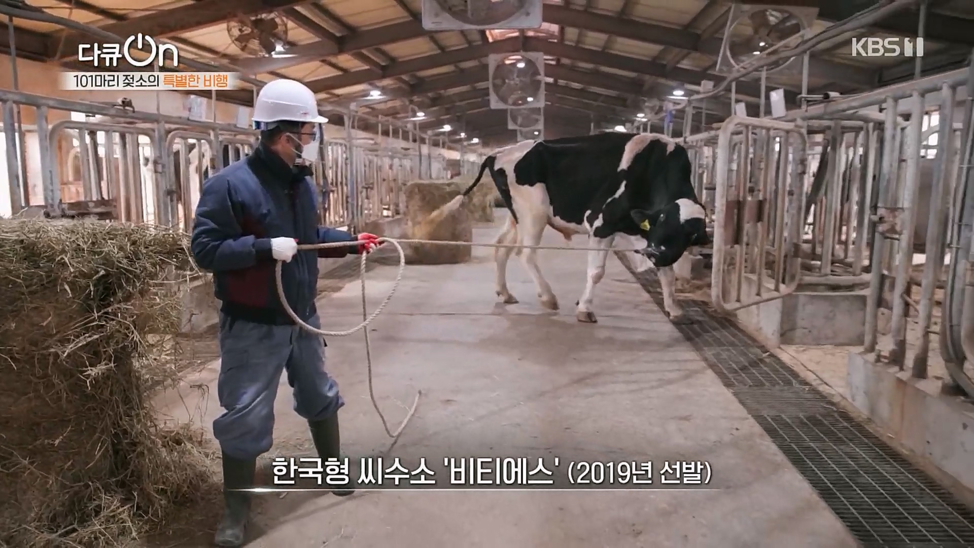 다큐 On.E184.230203p.H264-F1RST.mp4_20230211_174452.368.jpg