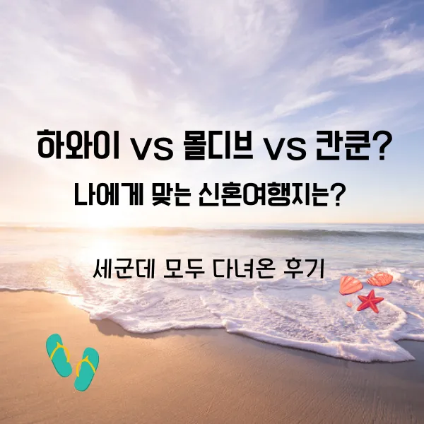 허니문 끝판왕 몰디브 하와이 비교_5