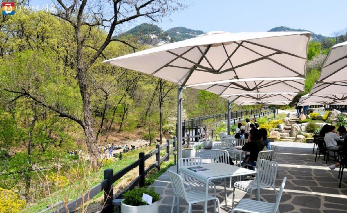 24년 불암산 철쭉제
