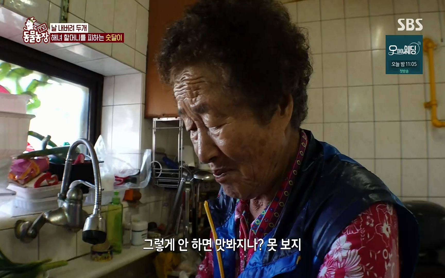 TV 동물농장.E1073.220612p.H264-F1RST.mp4_20220612_181404.464.jpg