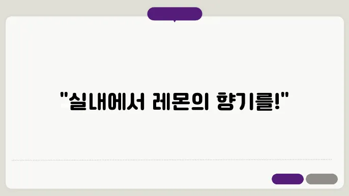 식물 레몬 나무 키우기 실내에서 키우기 좋은 과실 나무