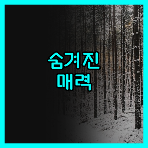 오스탈 펑키 아크 하우스 리베라 숨겨